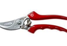 ضدعفونی قیچی باغبانی