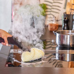 بخارشوی کارچر مدل SC 2 EasyFix